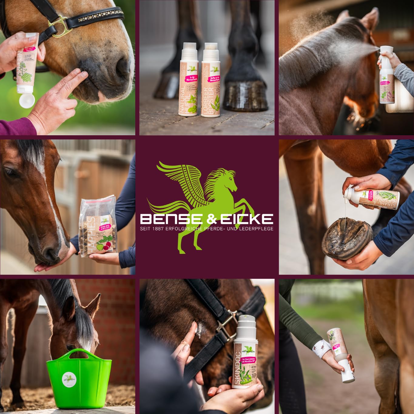 Bense & Eicke Anti-Itch Pflegespray fr Pferde 100 ml mit Lebermoos, Aloe  Vera, Teebauml, Salz aus dem Toten Meer beruhigt juckende Haut reduziert  Scheuerneigung untersttzende Pflege bei Sommerekzem : Amazon.de: Drogerie &