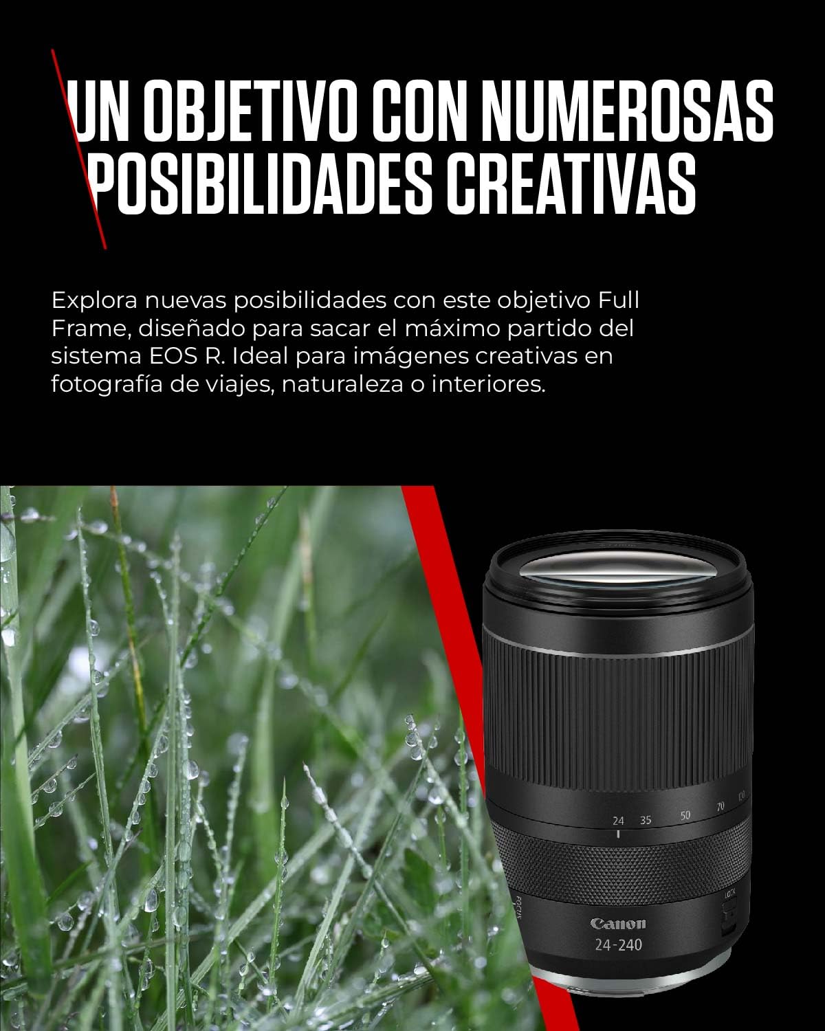 Canon Objetivo RF 24-240mm F4-6.3 IS USM - Lente Teleobjetivo y Gran Angular Zoom 10x para Naturaleza, Paisajes y Ciudad | Compatible Sistema EOS R