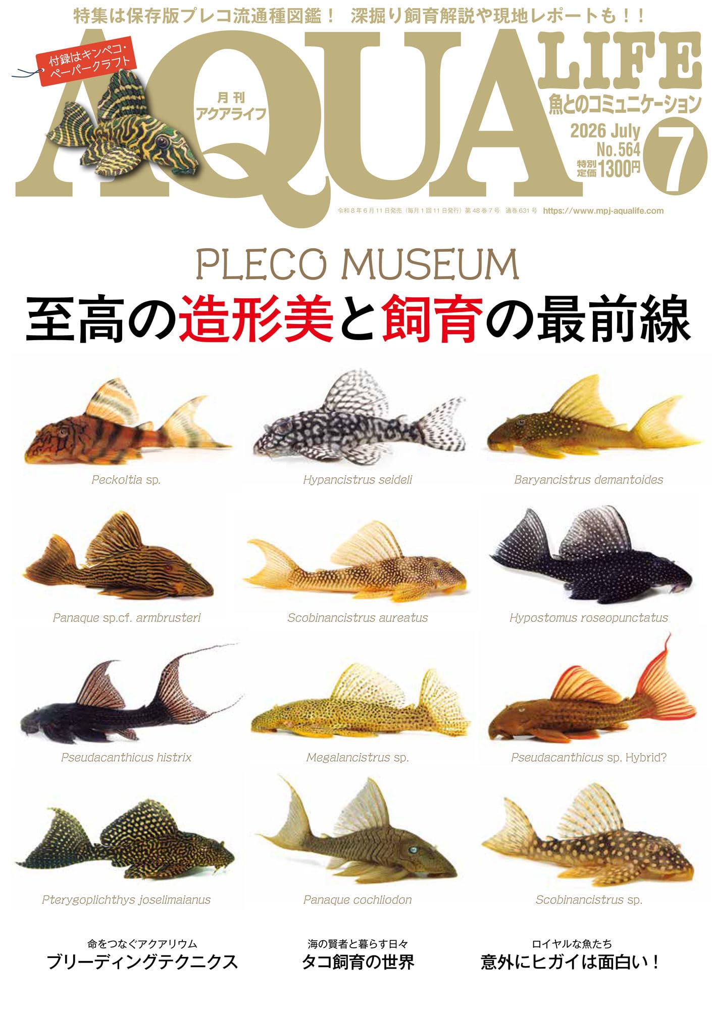 月刊アクアライフ 2026年 07 月号 プレコプレミアム－至高の造形美と