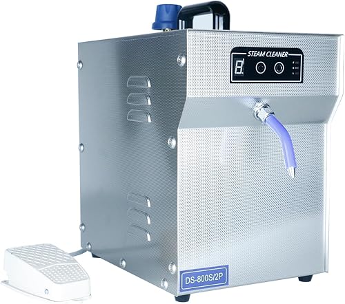Limpiador de vapor profesional de joyería de 1300 W, máquina de limpieza de joyas de acero inoxidable de 2 L para plata y oro, máquina de vapor de