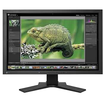EIZO ColorEdge CG241Wモニター 715vcG0mp8L._UF350,350_QL50_.jpg