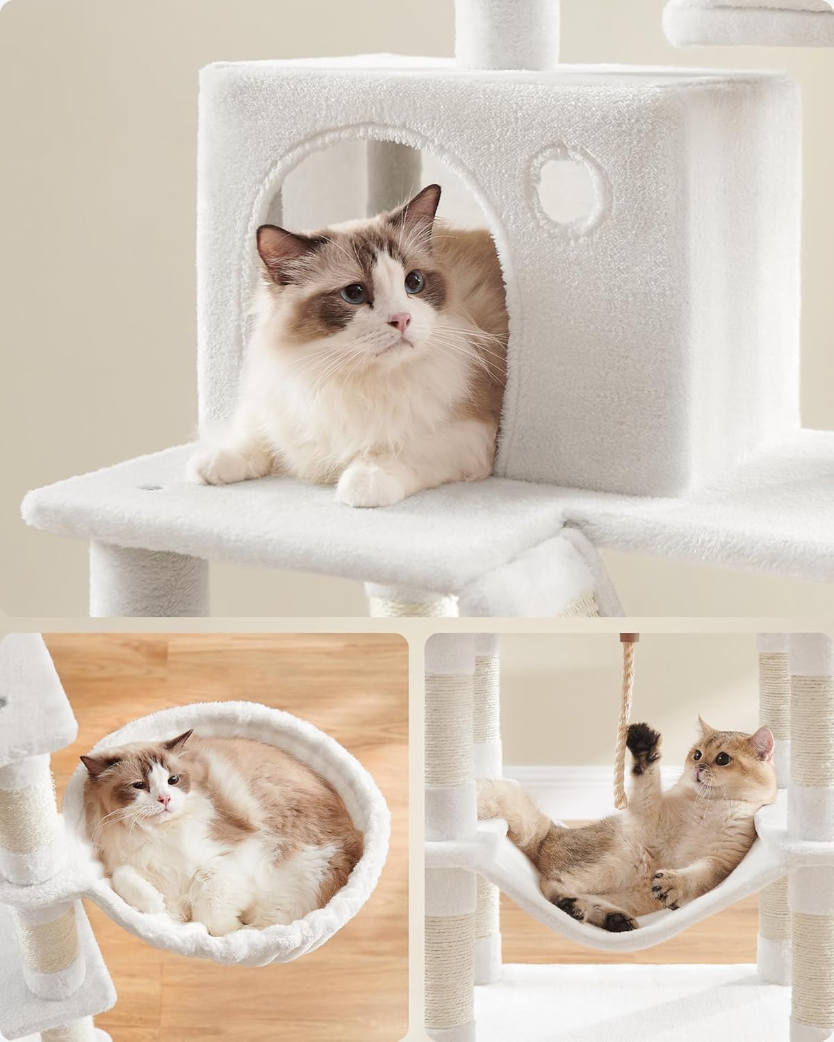 Composite image showing cats using the cave, basket, and hammock
