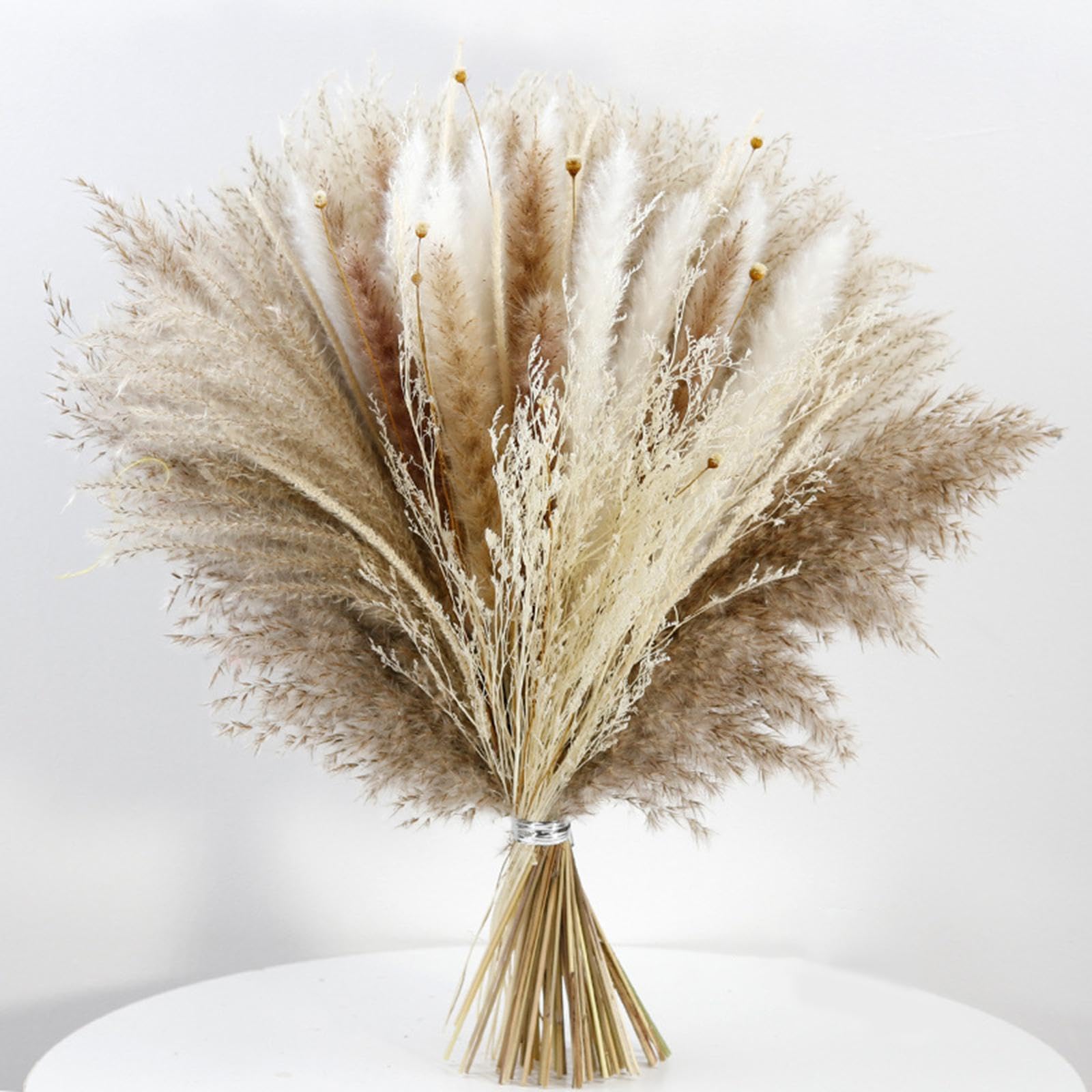 Amazon｜GUOOL 天然ススキの花束 装飾的なドライフラワーの枝バンドル