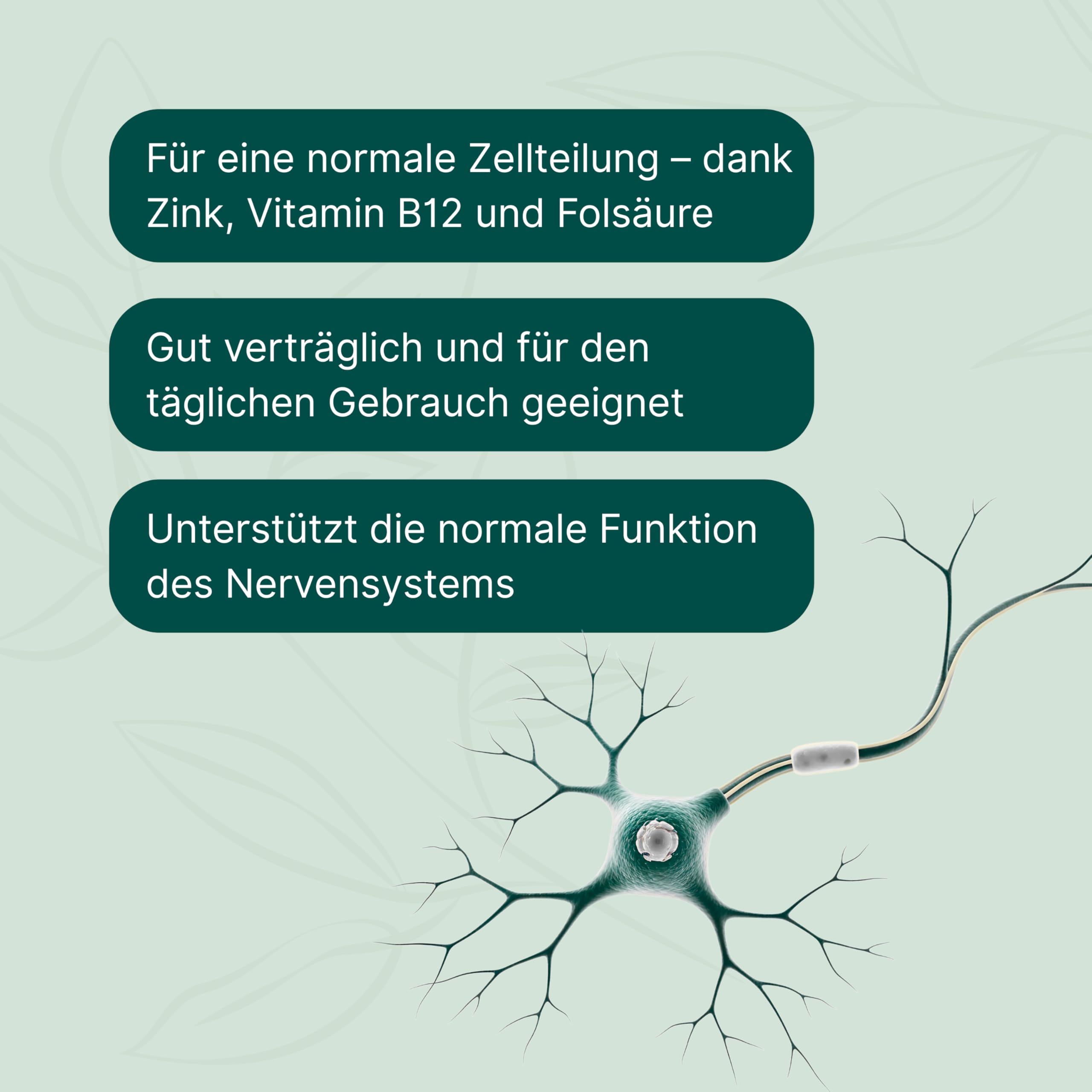 ESSENZ - Neurosense+ 60 Kapseln - Zur Unterstützung der normalen Zell- und Nervenfunktion. Natürliche Kapseln mit Folsäure sowie Vitamine B6 & B12. Made in Germany