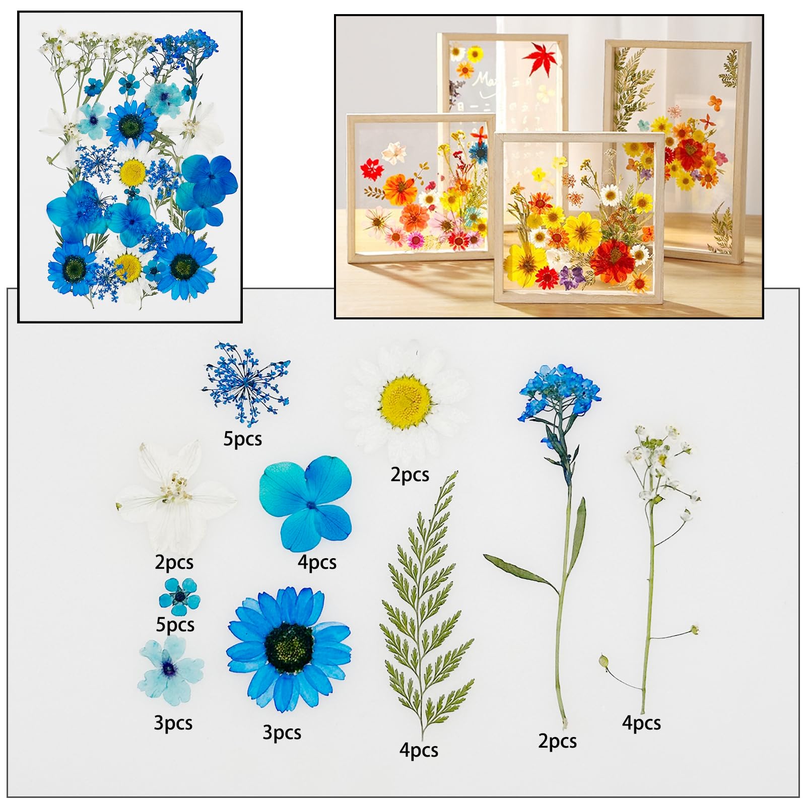 Cayway 170 PCS Dried Pressed Flower, Pressed Flowers and Leaves for Resin, Real Nature Pressing Floral Leaves for DIY Craft, Jewelry Making, Candle Scrapbooking Supplies, Blue - Image 4