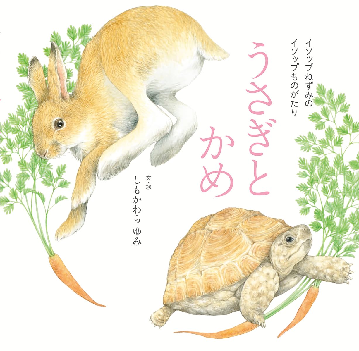 Amazon.co.jp: うさぎとかめ (イソップねずみのイソップものがたり
