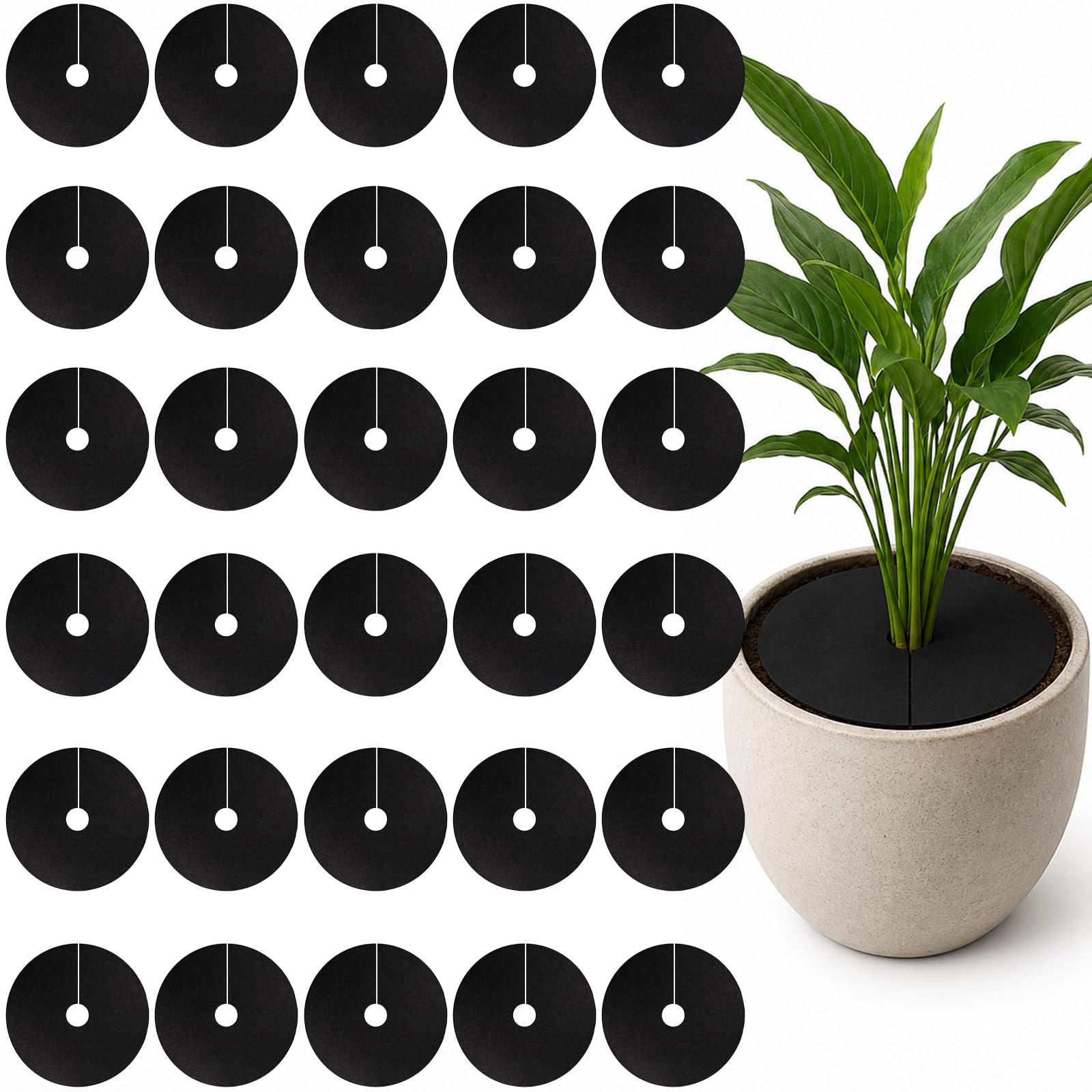 Gdrghe 30PCS Cabbage Collars, Round Non-woven Plant Mulch Ring, Plant Protector Mat for Weed Control Soil Moisture Retention, Weed & Pest Protection for Garden Flower Beds Potted Plants (15mm) โ image 1