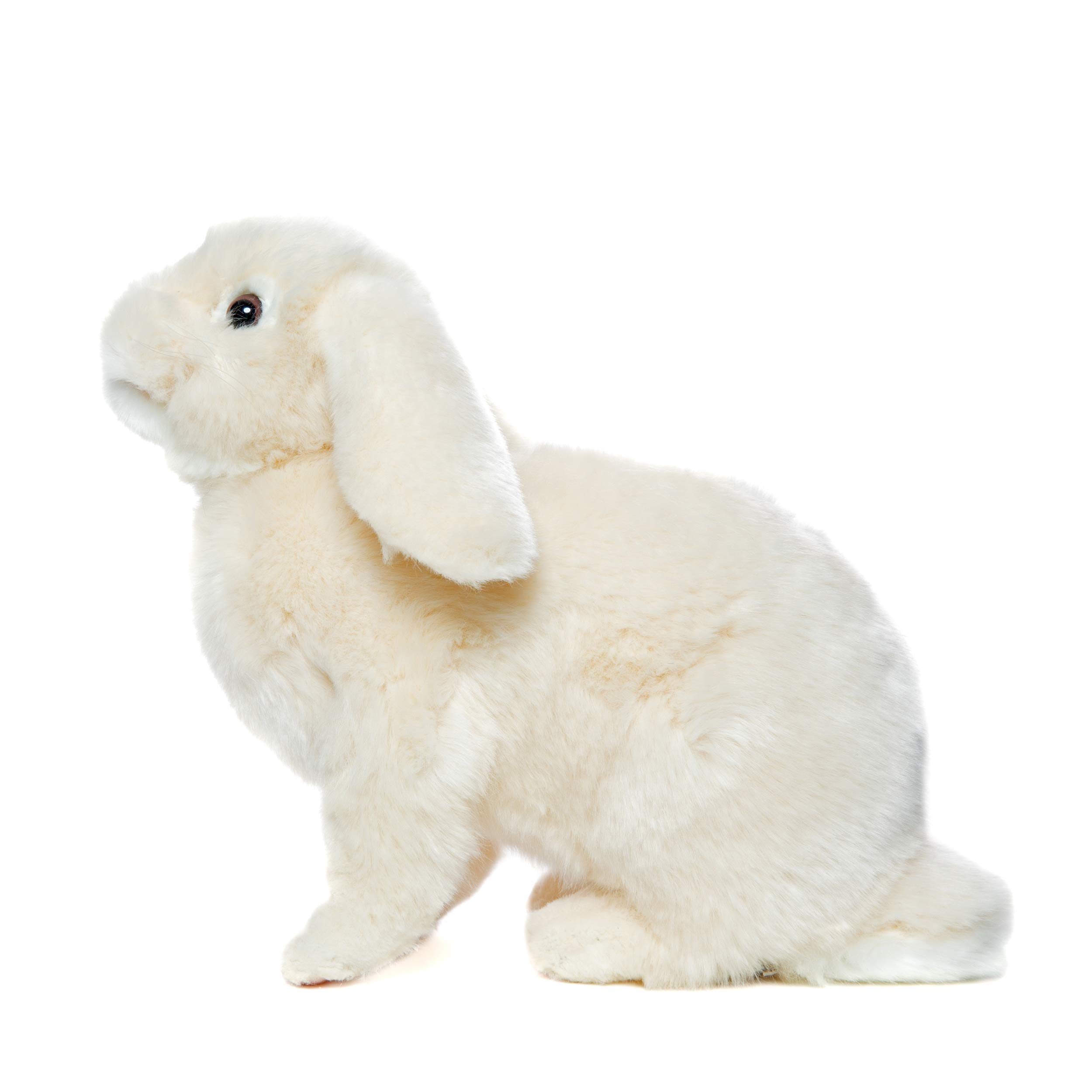 Amazon.co.jp: BH7024 HANSA ロップイヤーバニー 35 : おもちゃ