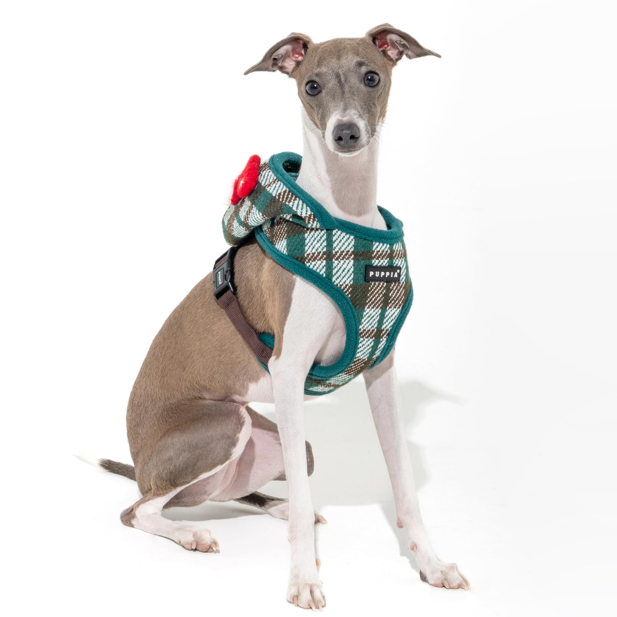 FESTIVE HARNESS A Dog harness Green M - Image 4