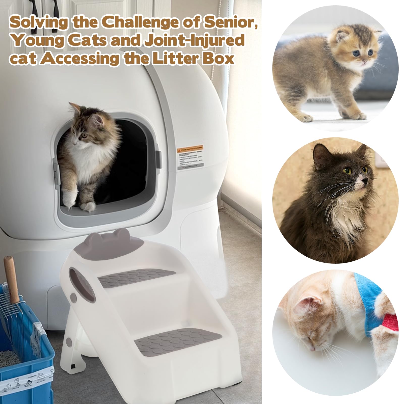 Rampe pour chat pour bac à litière, rampe en plastique blanc pour litière automatique, marches double couche avec pieds en caoutchouc antidérapants, marche pour chats de petite taille et âgés