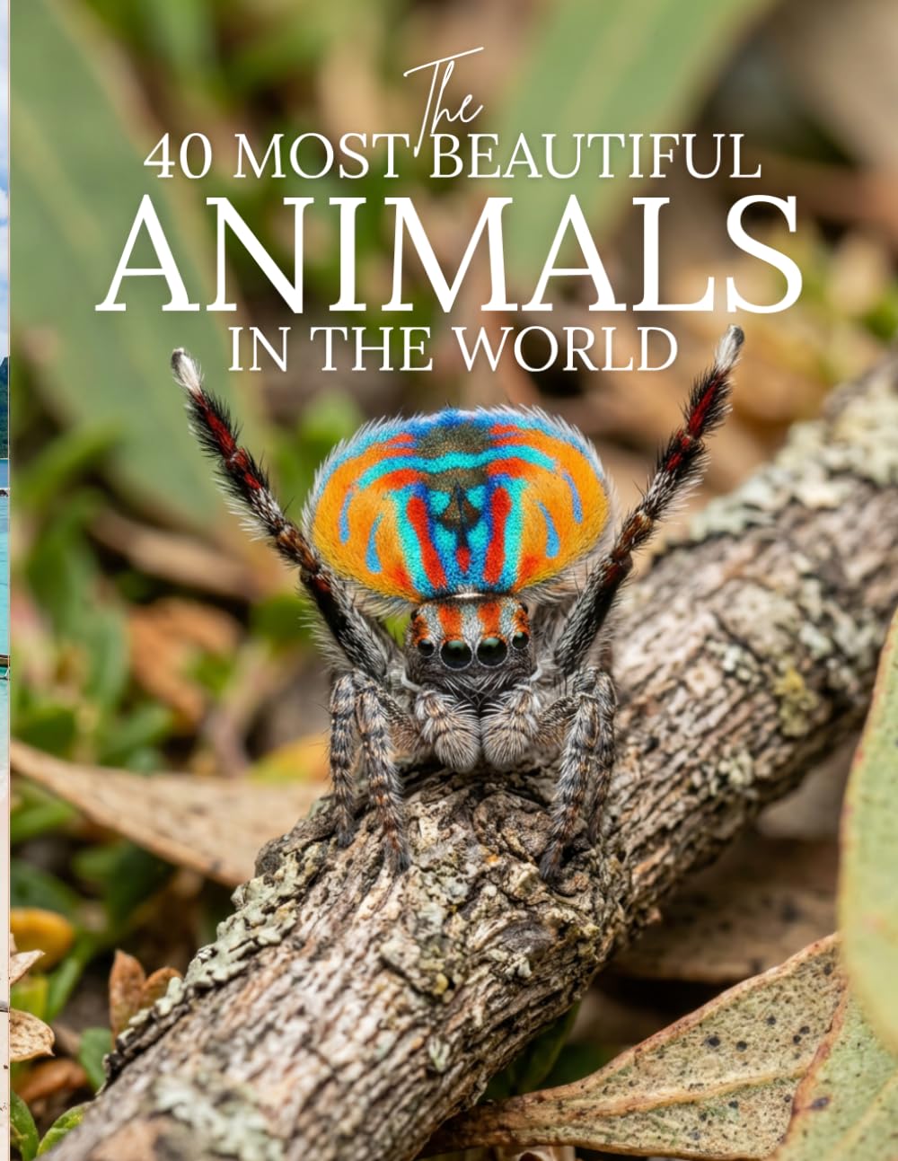 The 50 Most Beautiful Animals in the World: A Stunning Picture Book of the World’s Most Amazing Animals | Wildlife and Nature Book for Kids and Adults