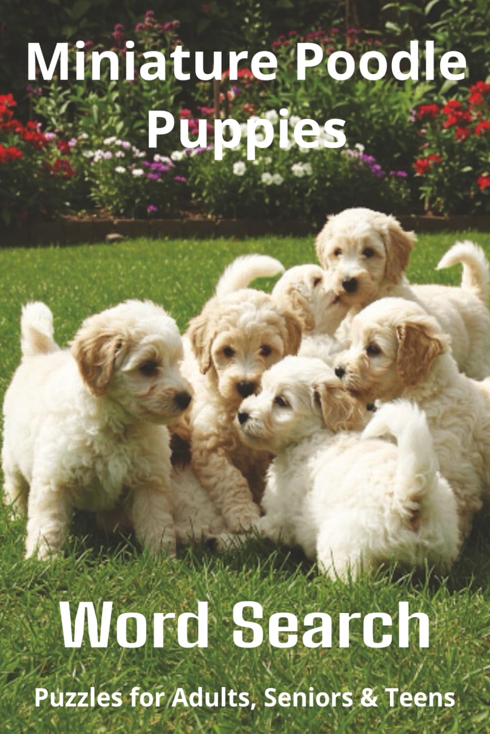 Words About Miniature Poodle Puppies Word Search Puzzles: Easy-to-Read Word Searches About Miniature Poodle Puppies – Loyal Companions, Training, Fun ... Pet Lovers, Vacations, and Relaxing Moments