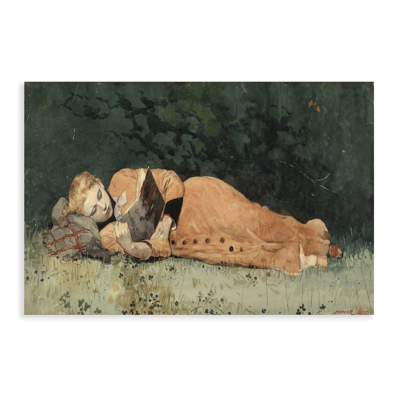 The New Novel 1877 Winslow Homer impression sur toile 30x45cm - 8