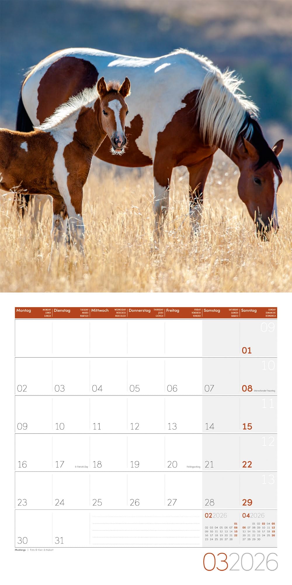 Pferde Broschürenkalender 2026 - 30x30 - Art12: Bildstarker Tier-Kalender im schlanken Hochformat (aufgeklappt 30x60 cm) | mit Eintrage-Kalendarium