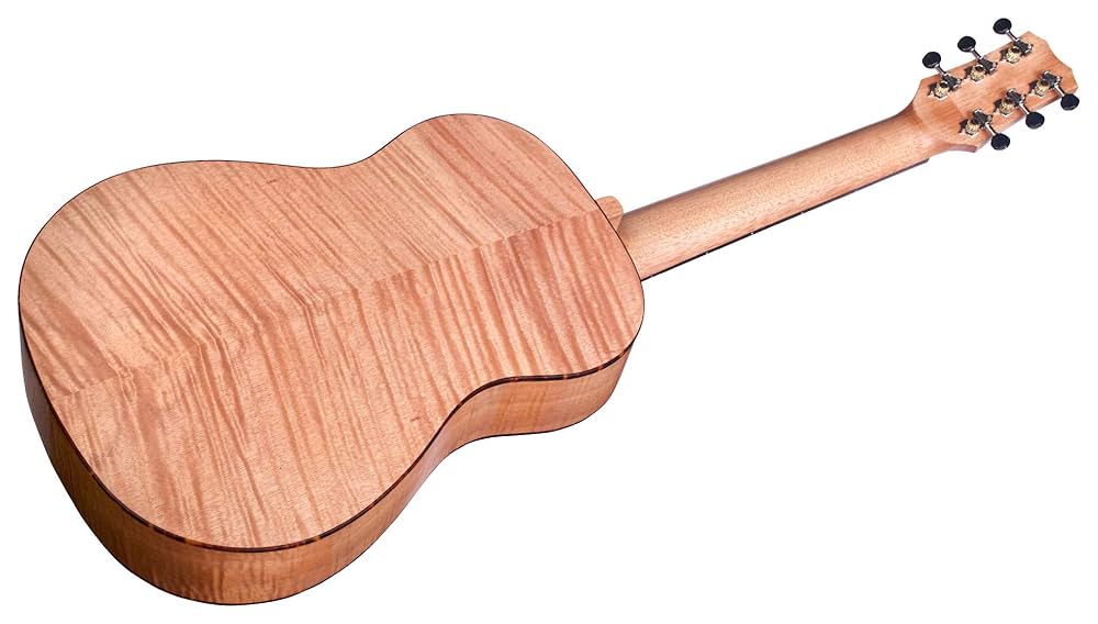 ギター Cordoba Mini ll FMH Cordoba Mini II FMH : Amazon.in: Musical Instruments