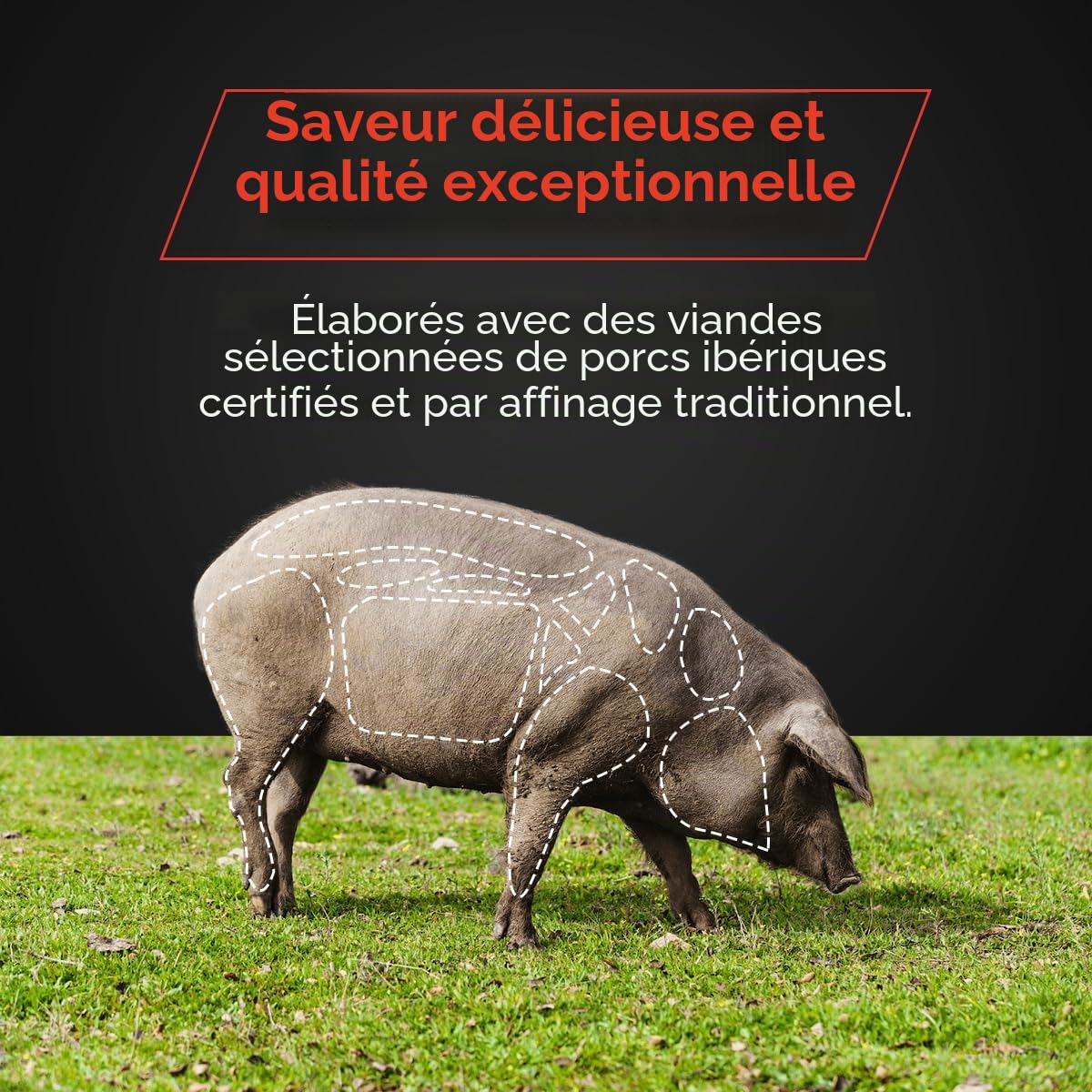 Morcón ibérique nourri aux glands - EIbérico