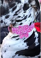 Vista 44 de Lionheart glory Collar de perro con bandera estadounidense, collar de flores para perro del 4 de julio, resistente y ajustable, collar patriótico