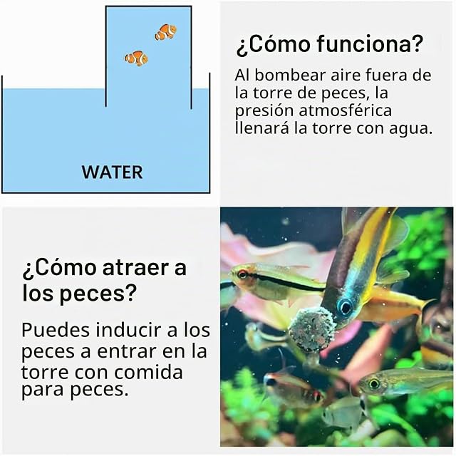 Foto 5 de 8 de Fukamou Pecera De Acrílico,Peceras Frescas,Decoraciones transparentes para ascensores de peces