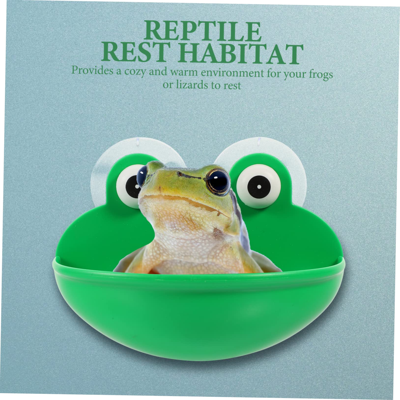 6stücke Reptilien Ruheplatz Für Terrarium Geeignet Für Amphibien Und Kleine Tiere Mit Saugnäpfen Dekorative Terrarium Zubehör Für Frösche Und Geckos