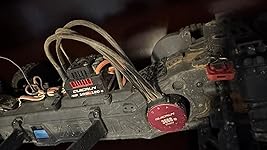 Review Image by PhotoGuy81 PhotoGuy81