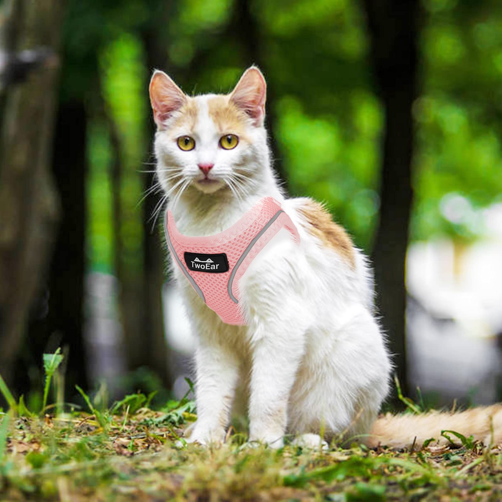 TwoEar Harnais pour chat et chat, gilet souple réglable, en maille respirante, réfléchissant, contrôle facile pour les animaux de compagnie de petite taille (XXS, rose)
