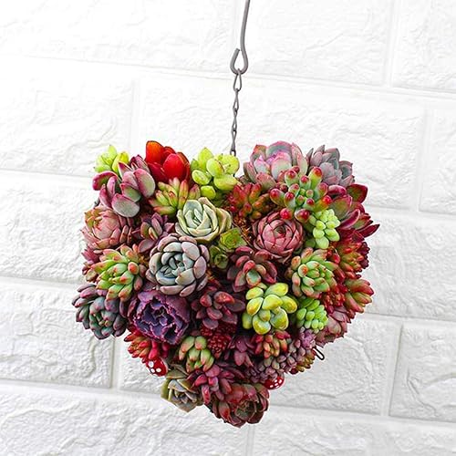 Miniatura 2 de GANAZONO Macetas colgantes en forma de corazón macetas de metal para plantas suculentas canasta de alambre con marco de corona de pared soporte para