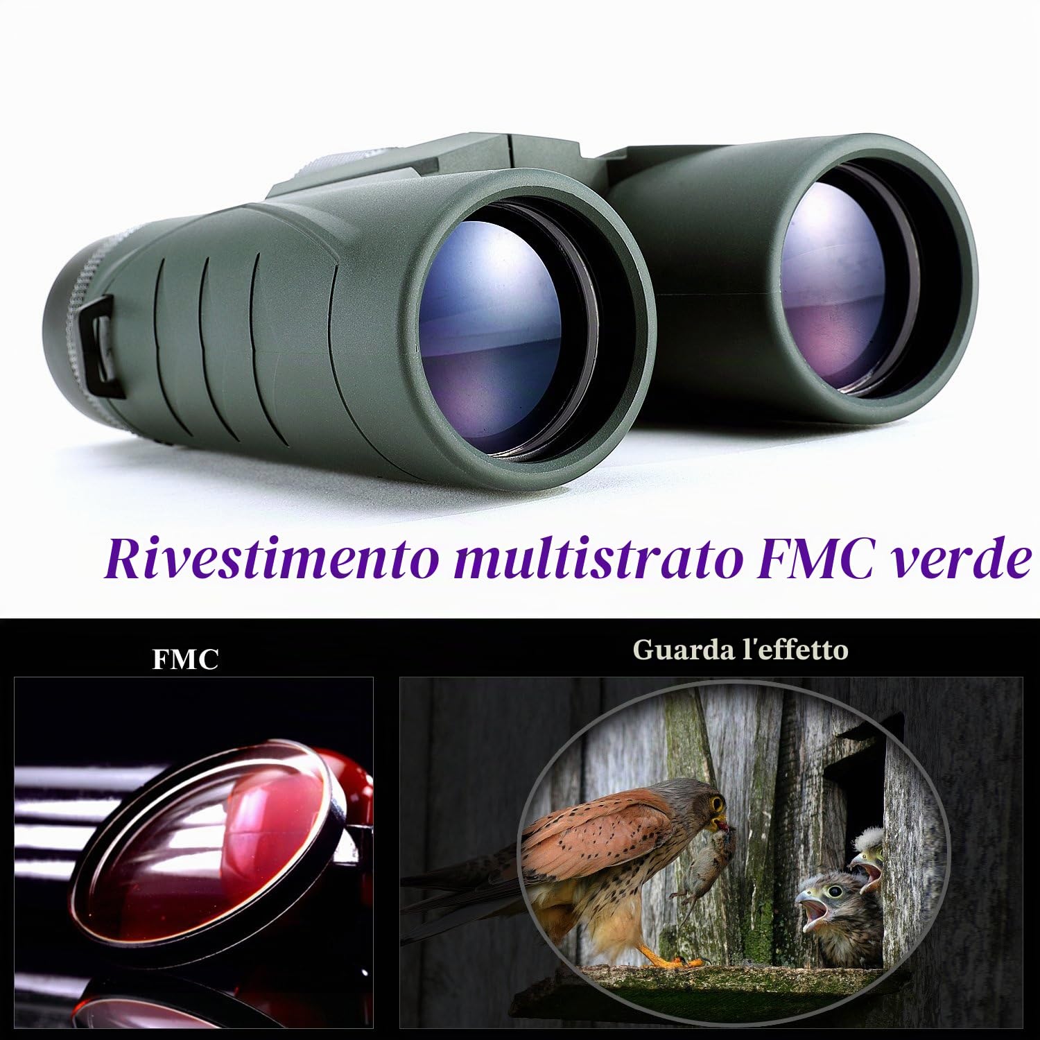 NOCOEX Binocolo Compatto, Con Ampia Visione di 10x42, Scelta Migliore per Bird Watching, Arrampicata, Viaggi, Giochi, Concerti, Adatto per lo Sport e le Attività all'aria Aperta (green).