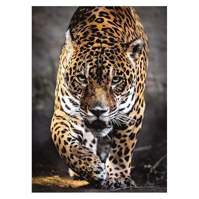 Foto 2 de 3 de Clementoni puzzle 1000 piezas high quality collection walk of the jag
