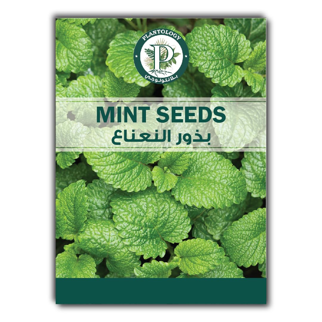Mint Seeds