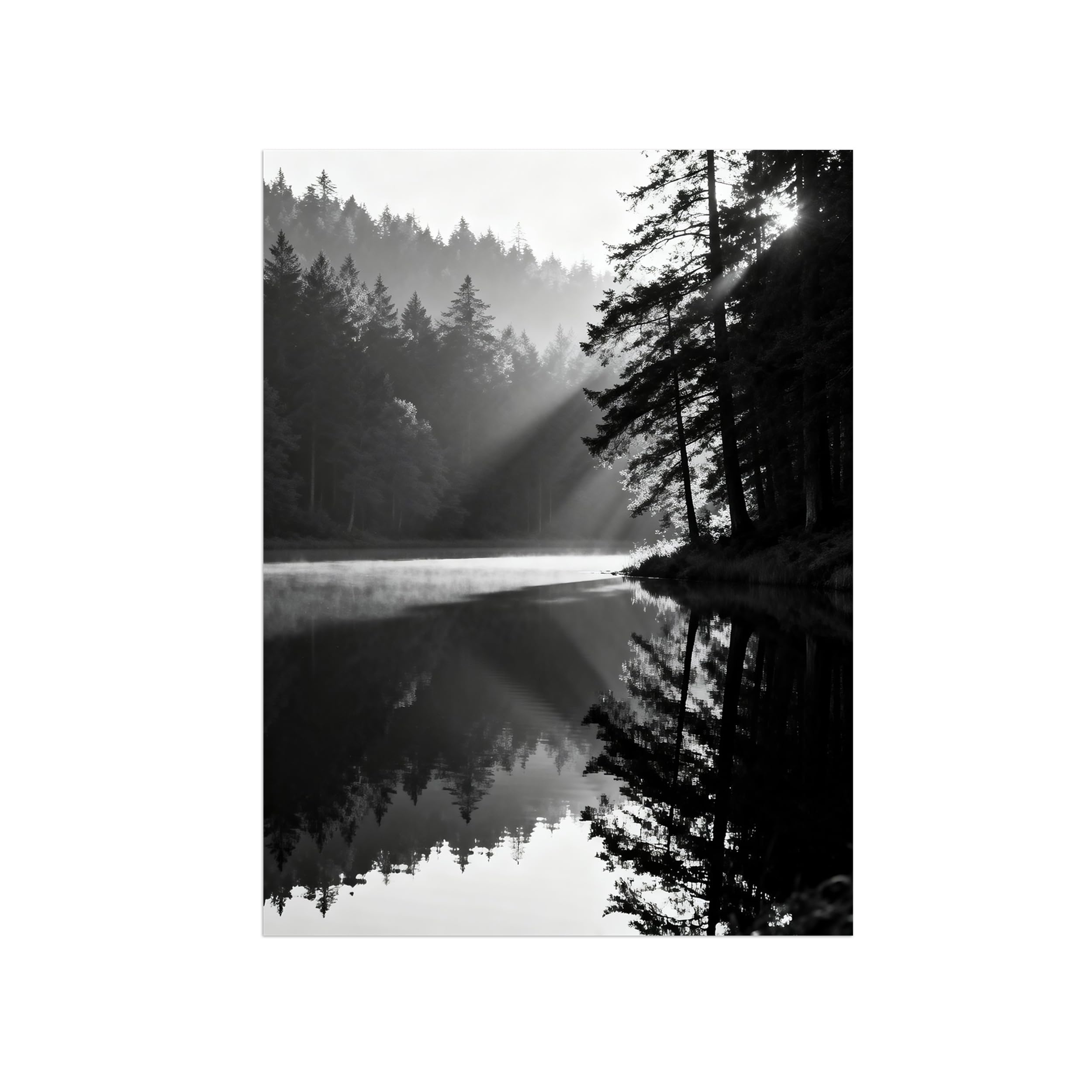 OZPWBVY Black and White Landscape Print Painting-Forest Lake Sunshine-Minimalist Canvas Wall Art Picture for Home Decor 24x31in 60x80cm Unframed