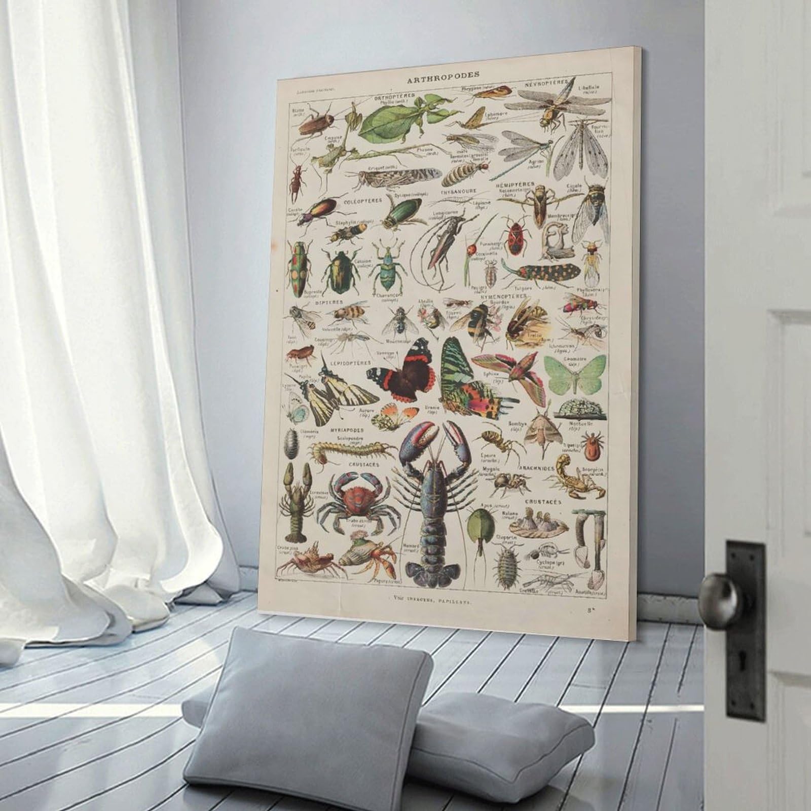 Junmoney Vintage Arthropods Wall Picture Print 24x36inch(60x90cm), for Lounge Decor, Offices Or Entryway Styling, A Flexible Wall Accent for Shared Spaces