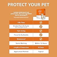 Vista 7 de Tienda Basics Tratamiento tópico preventivo contra pulgas para gatos medianos (5-9 libras), 6
