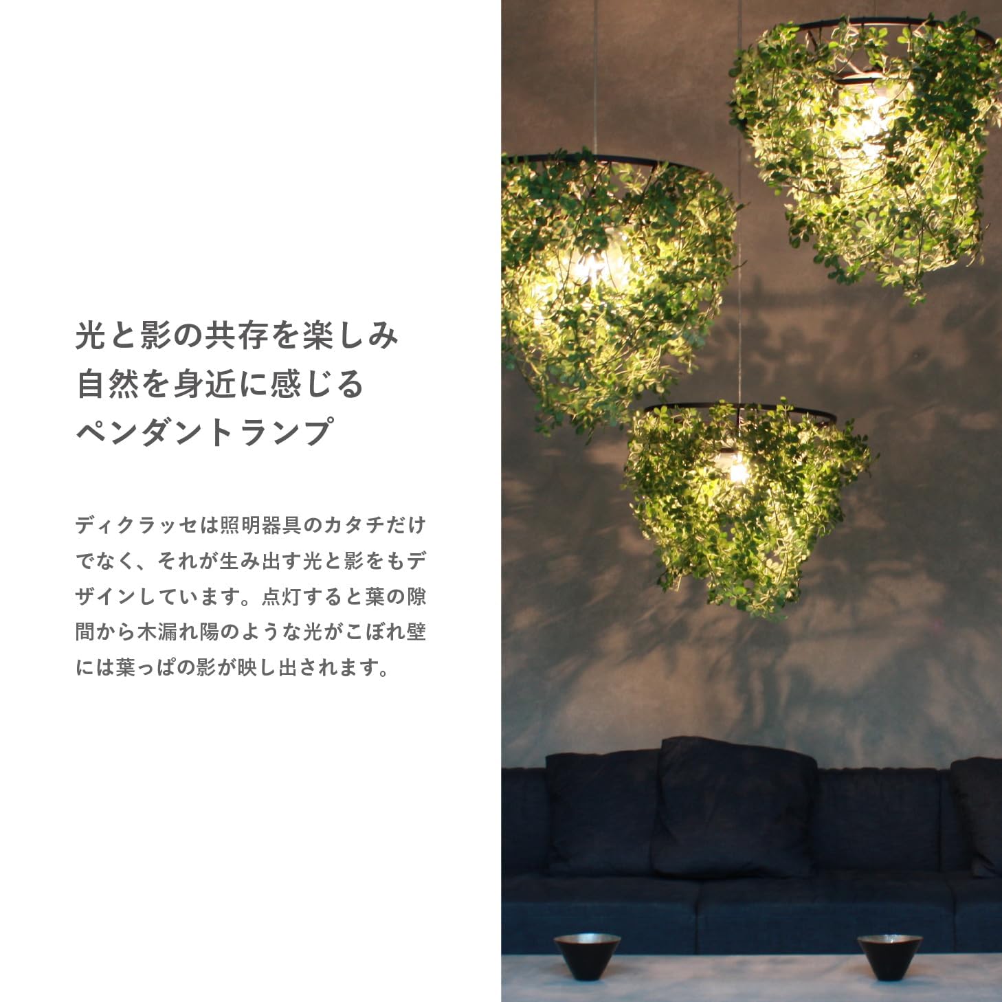 Amazon.co.jp: 【メーカー公式限定2年保証】 DI CLASSE Foresti Amazon.co.jp: 【メーカー公式限定2年保証】 DI CLASSE Foresti