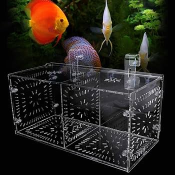 Amazon | 魚 繁殖隔離ボックス 調整可能 水槽 孵化 産卵箱 魚の