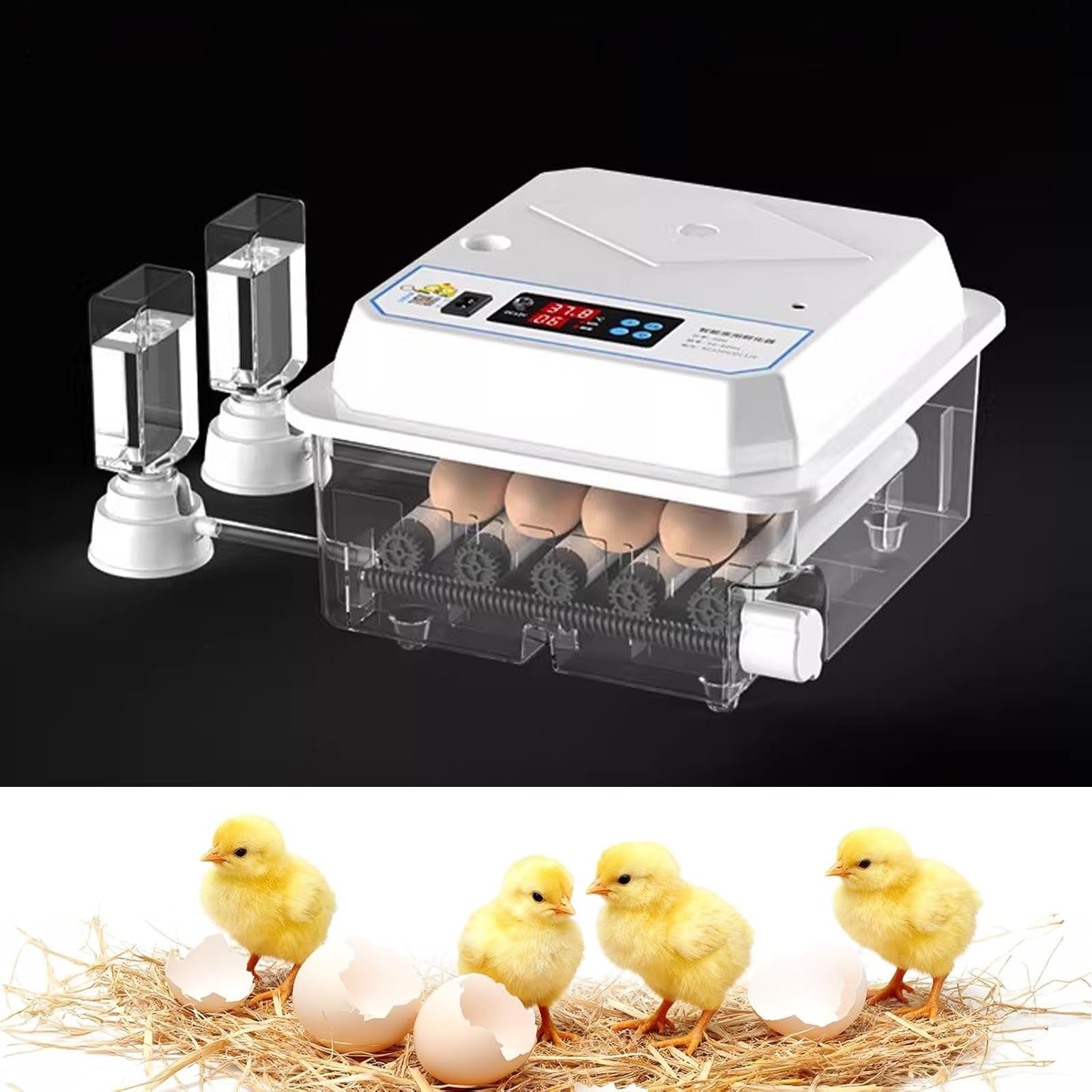 Automatyczne Inkubatory do Wylęgu Jaj – Kontrola Temperatury, Regulowana Taca na Jaja; Wylęgarka dla Kur, Kaczek, Przepiórek i Innego Drobiu(6 Eggs)