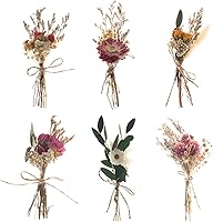 Fumwase 6Pcs Mini Dried Flower Bouquets - Natural Boho Wildflowers Bulk for Crafts, Vases, Weddings, DIY Photo Props & Gifts