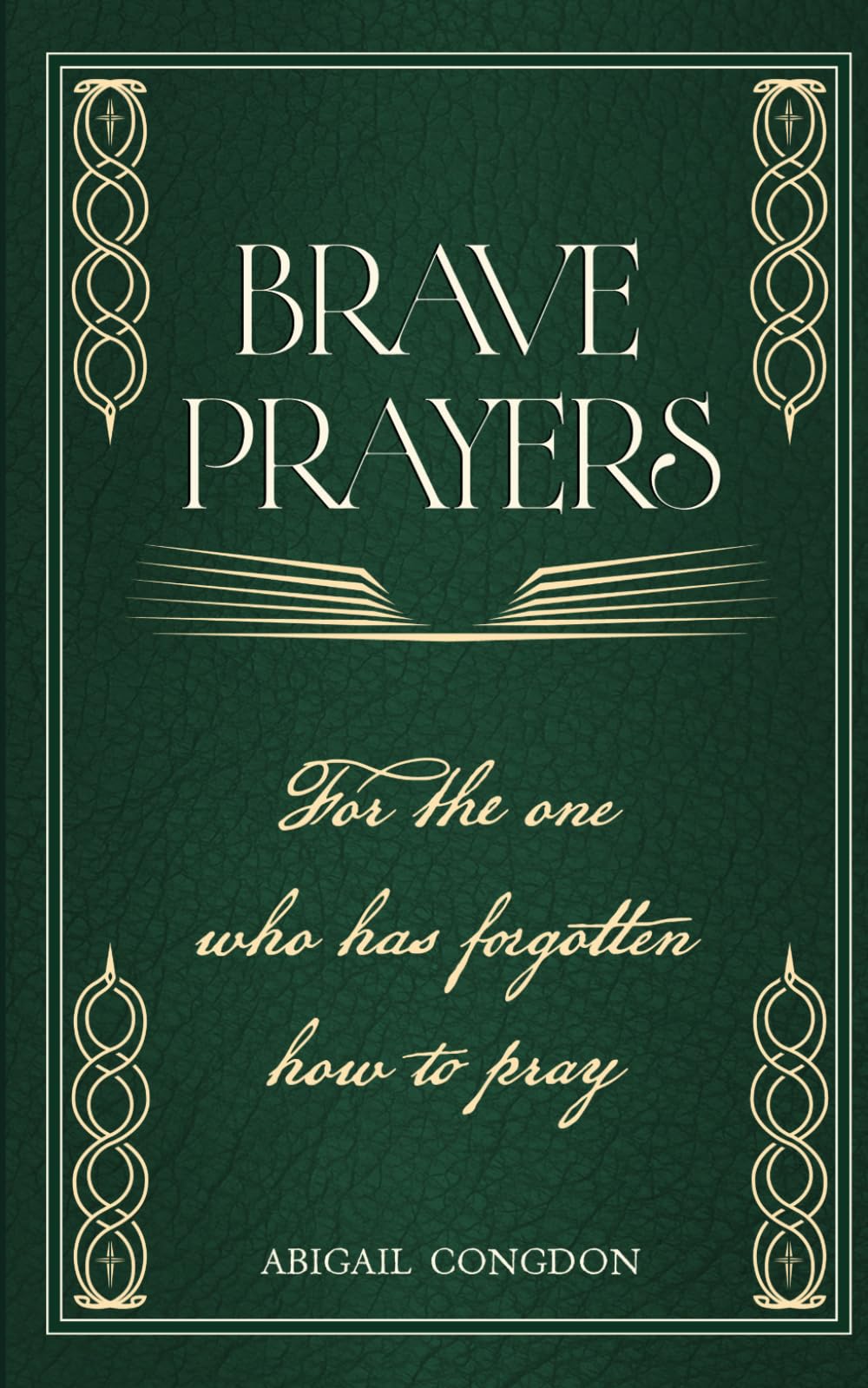 Brave Prayers: For The One Who Has Forgotten How To Pray