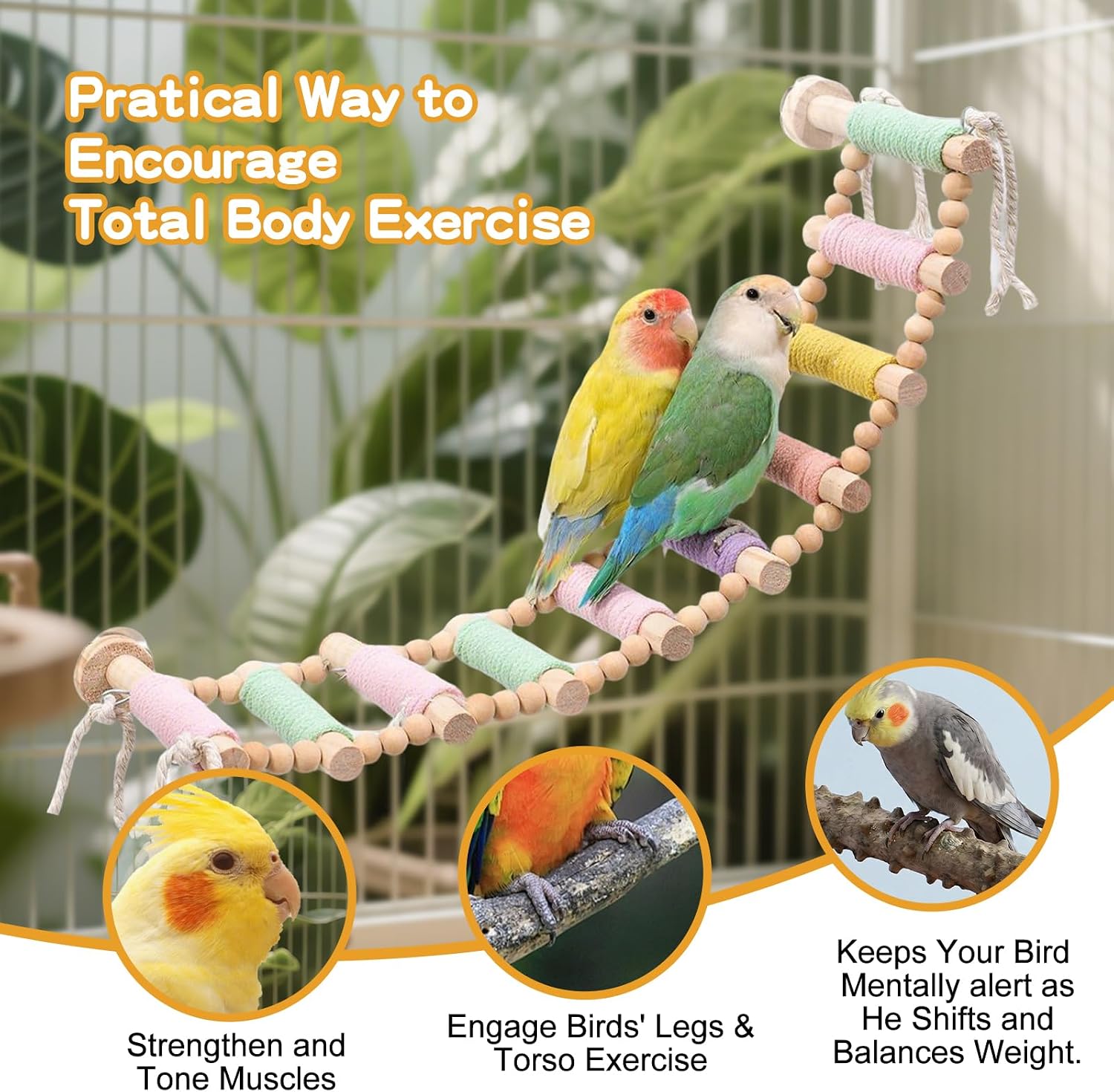 Parrot Ladder Bird Perch Toy, 10-Step Cotton Rope Climbing Toy for Budgie Parakeet Conure Cockatiel, Colorful Wooden Bird Cage Accessories