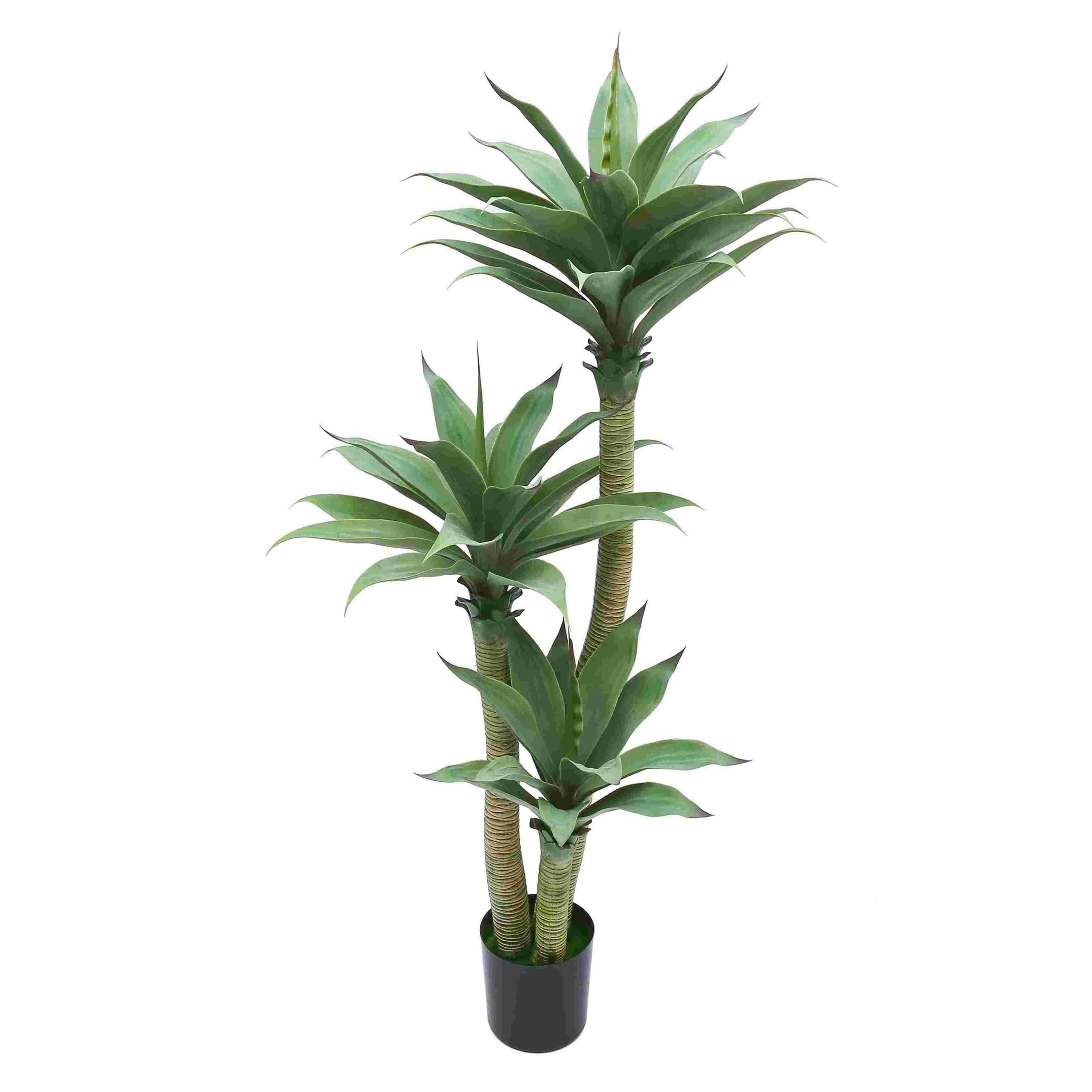Amazon.de: Kunst-Agave 155 cm mit rtlichen Blattspitzen  hochwertige knstliche  Agave im Topf  exotische Deko-Pflanze fr Wohnzimmer, Bro &  Empfangsbereich  pflegefrei & modern  langlebige Zimmerpflanze