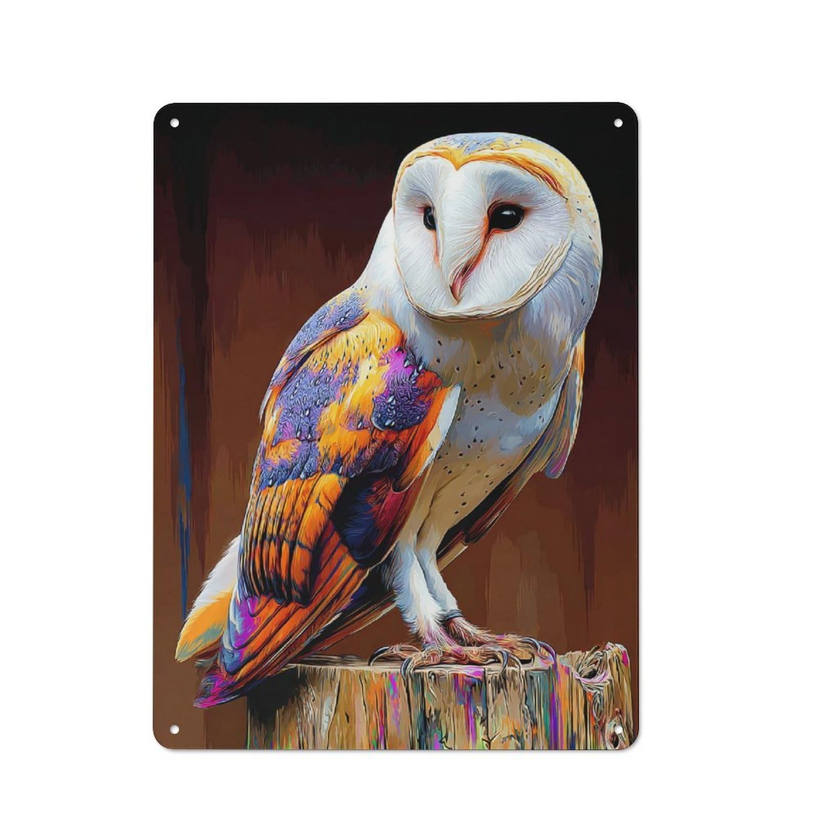 Junmoney Colorful Barn Owl Artwork Metal Wall Sign 40X30cm Featuring For Bar Or Restaurant, For Themed Interiors In Bars And Restaurants