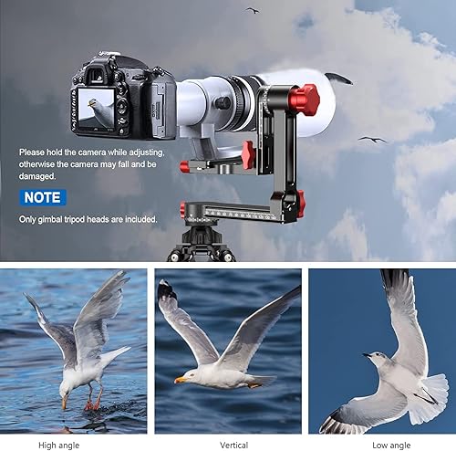 Miniatura 2 de Cabezal de trípode cardán de aleación de aluminio con rotación de brazo oscilante placa profesional de liberación rápida de 14 pulgadas y 38