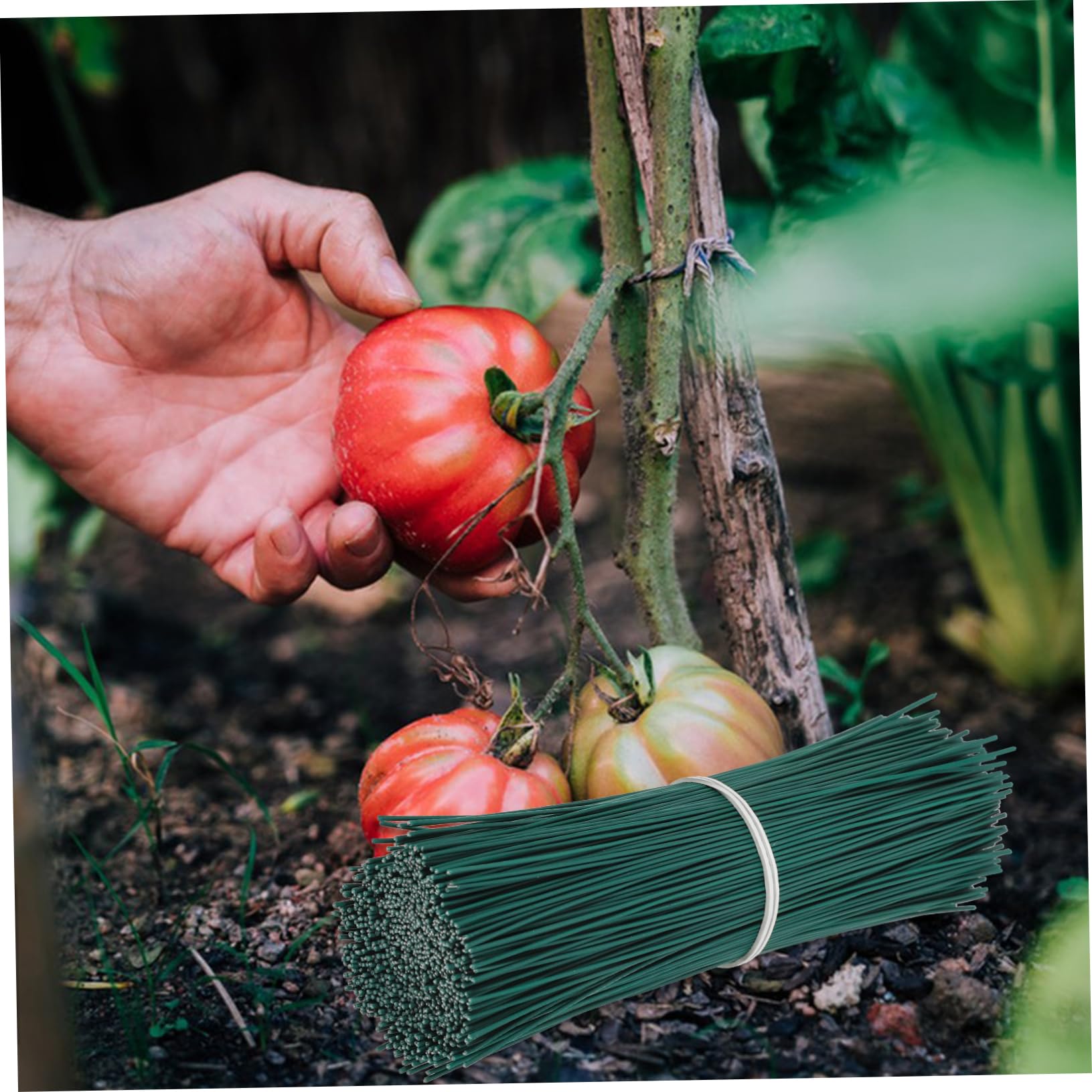 ibasenice 3 Sätze Pflanzenbindedraht Verzinktem Flexible Und Robuste Kabelbinder Für Gartenarbeiten Wiederverwendbare Drahtbinder Für Pflanzen Und Kabelorganisation 1000 Stück * 3
