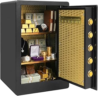 55L Safe Tresor Fingerabdruck mit Passwort & Schlüssel, Alarm, Fingerabdruck Tresor für Zuhause mit verstellbare Trennwand, Wandtresor Digitaler Möbeltresor für Bargeld Medikamente A4 Dokumente