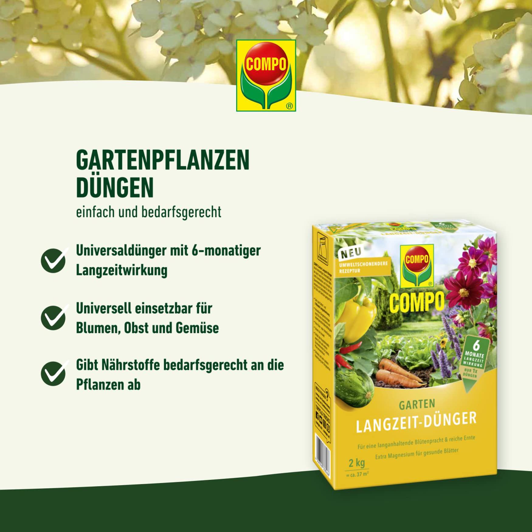 dünger für mango Mango 