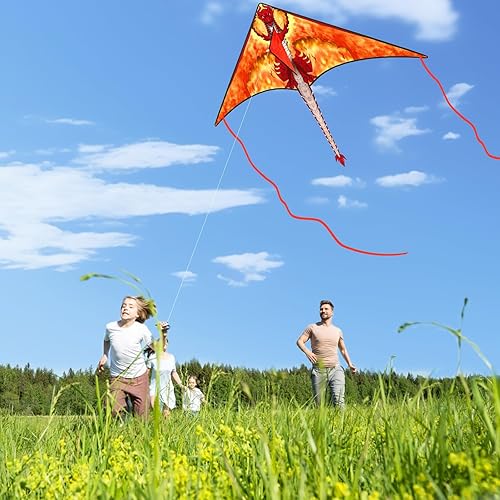 Vista 28 de Large Kites for Adults Kites for Kids Ages 4-8， 8-12 Beach Park Outdoor Game Activities, Gifts for Easter and Festival