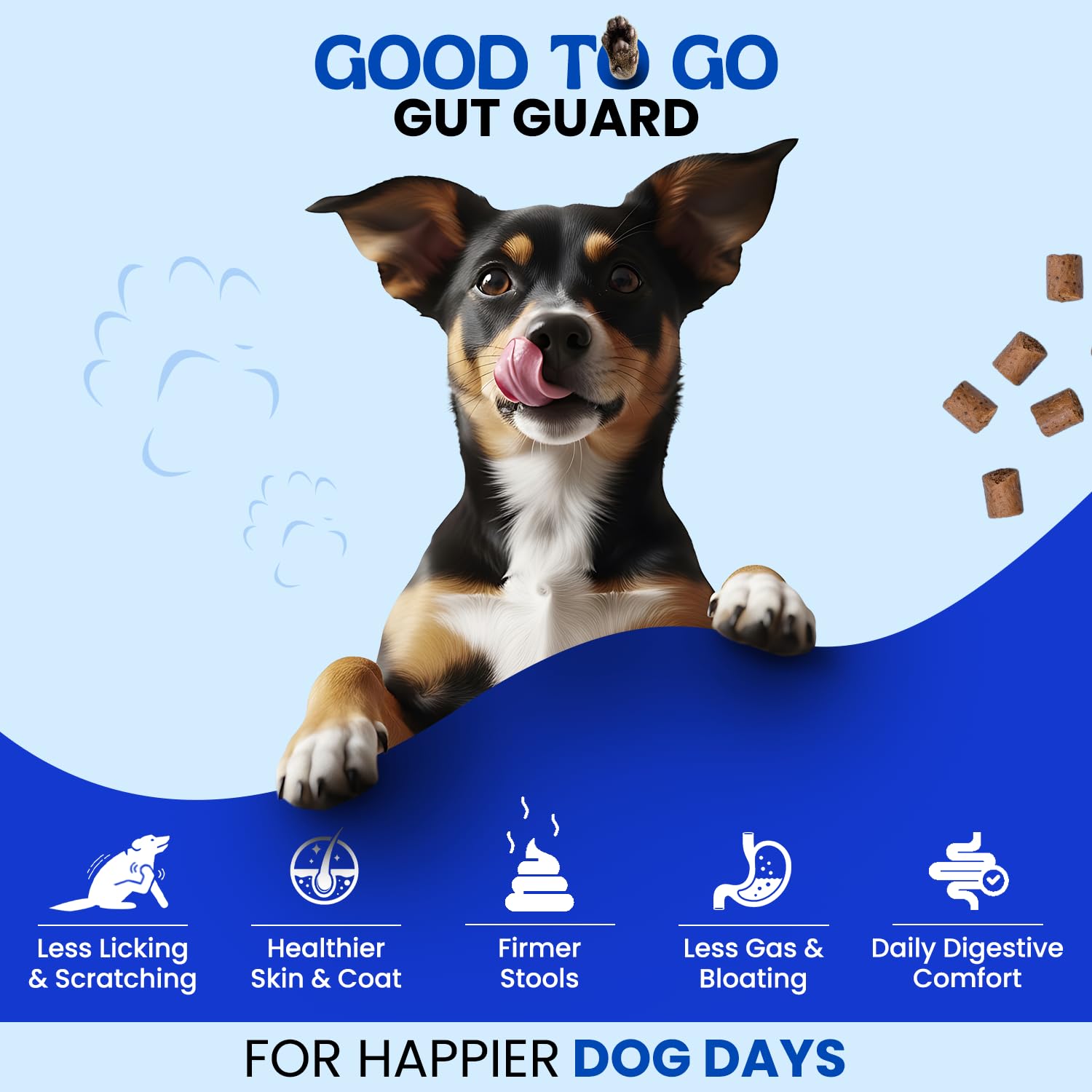 4-in-1 Probiotic Gut Health Chews for Dogs | 60 Chews + Free QR Dog Tag — Amazon image 7