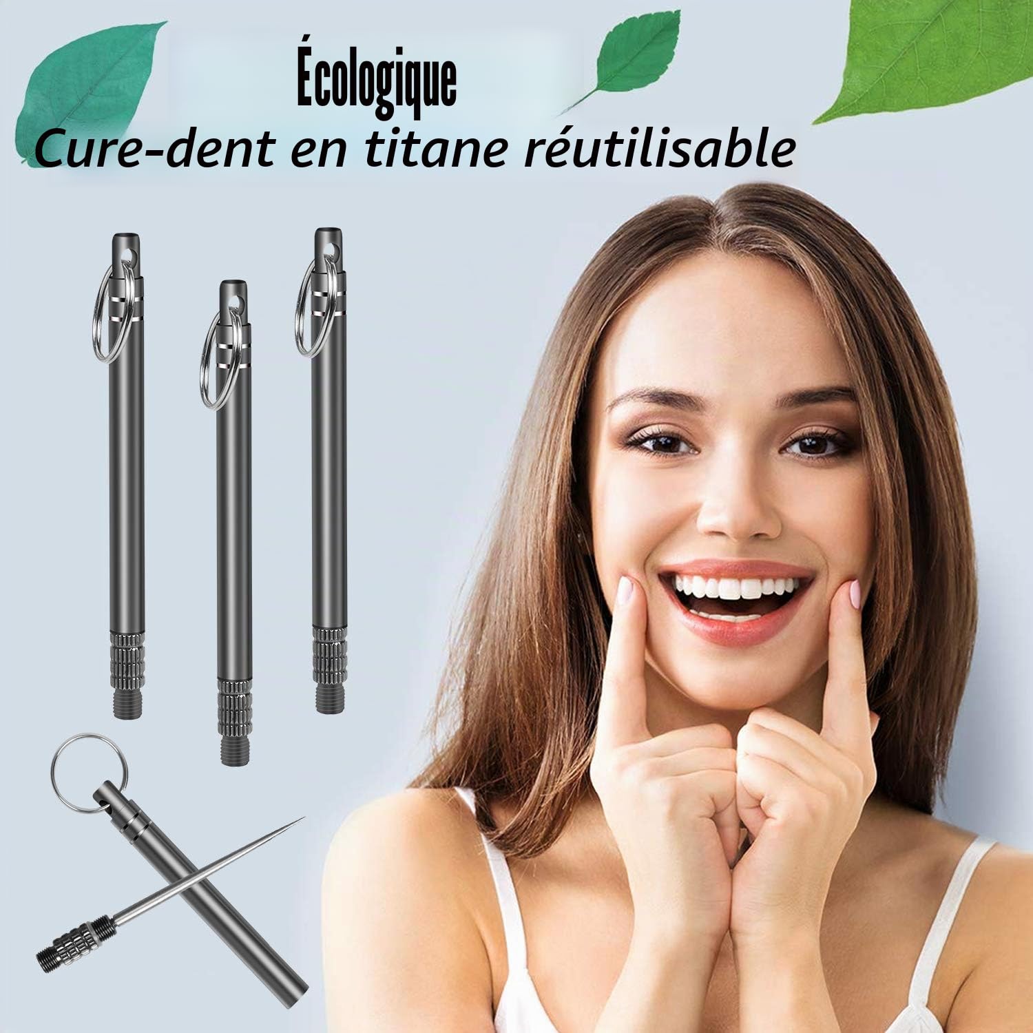Lot de 3 cure-dents portables en titane acier inoxydable réutilisables noir pour camping pique-nique voyage
