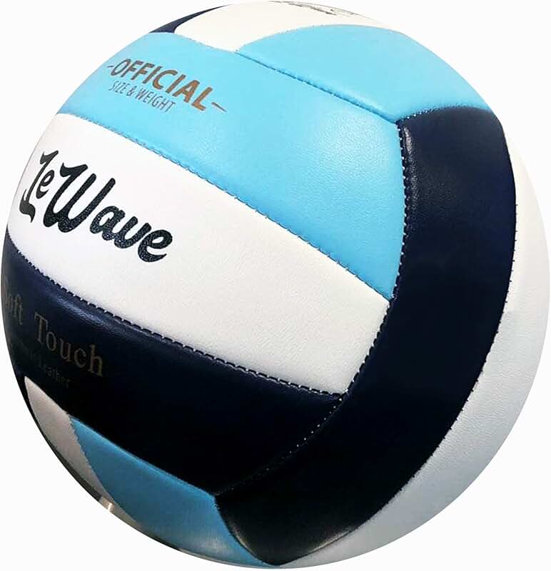 Amazon.ca volleyball