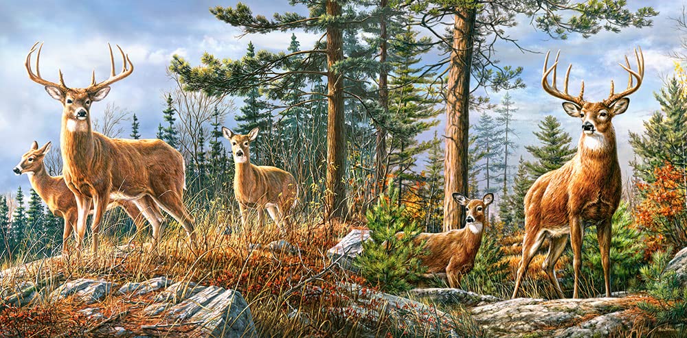 500 Piece Jigsaw Puzzle, Forest Life, Charming View Of Deer And Animals In The