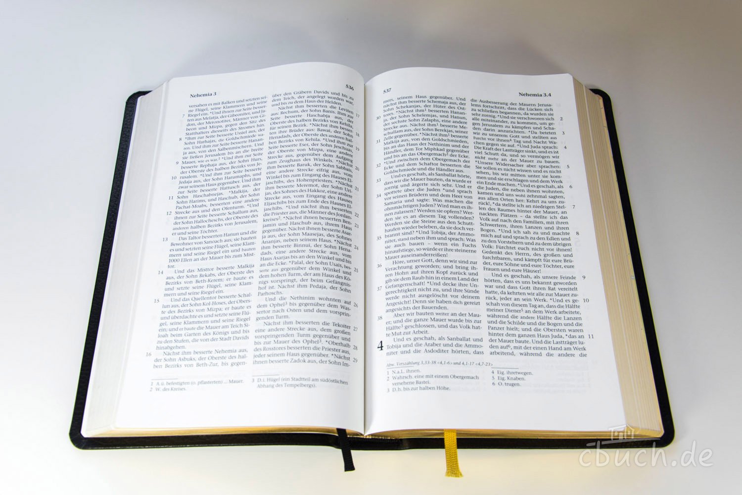 Die Bibel - Großausgabe (Leder): Elberfelder Überarbeitung 2003, Edition CSV-Hückeswagen, Hausbibel, feines Kalbsleder, schwarz, flexibel, Goldschnitt, mit Karten